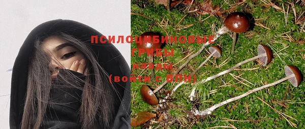 apvp Пересвет