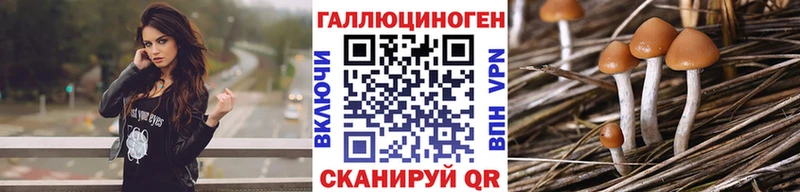 Купить закладки  Нижневартовск  Галлюциногенные грибы Psilocybine cubensis 